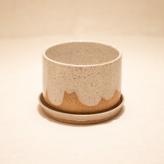 5" Scalloped Glaze Planter w/ Matching Plate