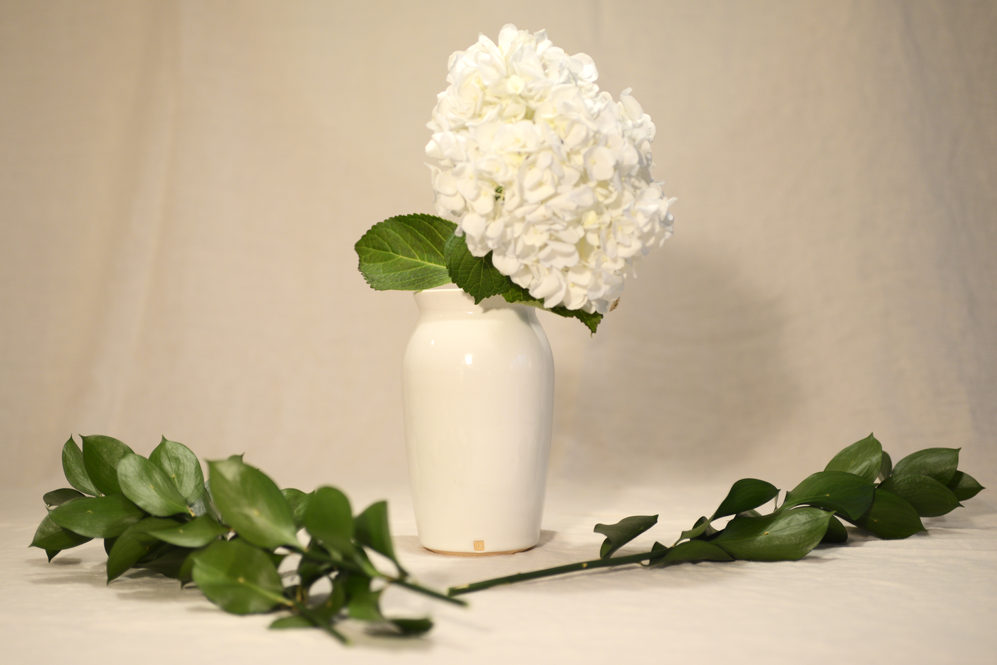 The Magnolia Vase